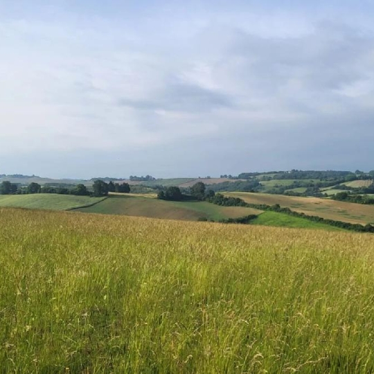  IMMOBILIER AREA : Terrain | SAMATAN (32130) | 3 000 m2 | 82 400 € 