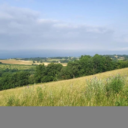  IMMOBILIER AREA : Terrain | SAMATAN (32130) | 3 000 m2 | 82 400 € 