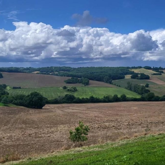  IMMOBILIER AREA : Terrain | BEAUMONT-DE-LOMAGNE (82500) | 220 000 m2 | 192 600 € 