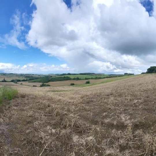  IMMOBILIER AREA : Terrain | BEAUMONT-DE-LOMAGNE (82500) | 220 000 m2 | 192 600 € 