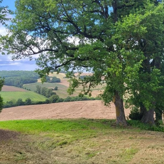 IMMOBILIER AREA : Terrain | BEAUMONT-DE-LOMAGNE (82500) | 220000.00m2 | 192 600 € 