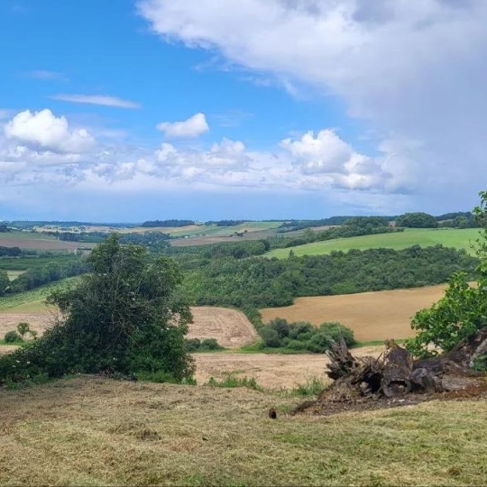  IMMOBILIER AREA : Terrain | BEAUMONT-DE-LOMAGNE (82500) | 220 000 m2 | 192 600 € 