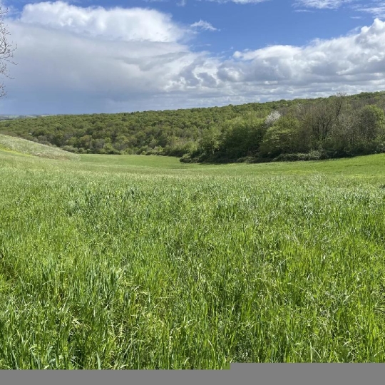  IMMOBILIER AREA : Terrain | SARCOS (32420) | 60 000 m2 | 40 000 € 