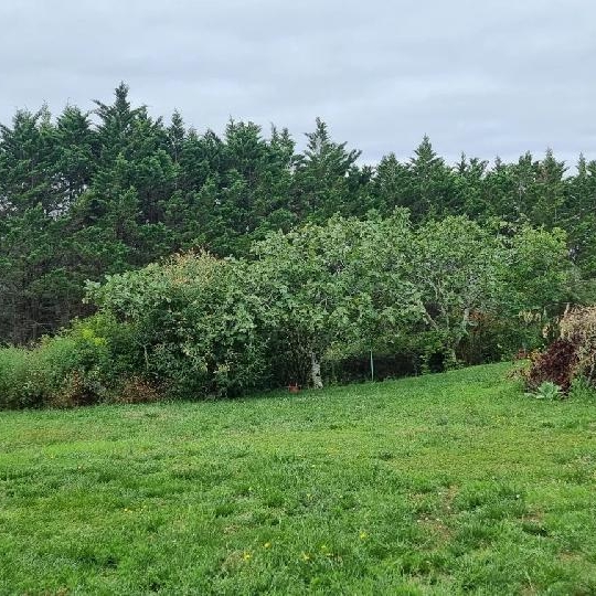  IMMOBILIER AREA : Terrain | AUCH (32000) | 650 m2 | 71 000 € 