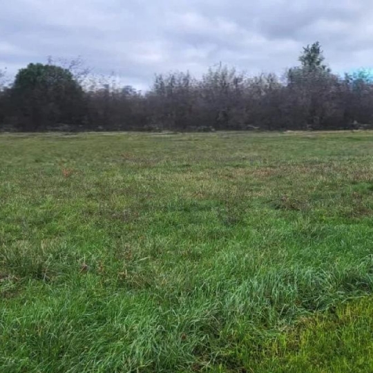 IMMOBILIER AREA : Terrain | L'ISLE-EN-DODON (31230) | 1138.00m2 | 28 000 € 