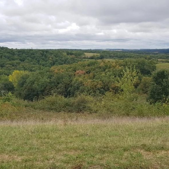  IMMOBILIER AREA : Terrain | ORDAN-LARROQUE (32350) | 2 000 m2 | 45 000 € 