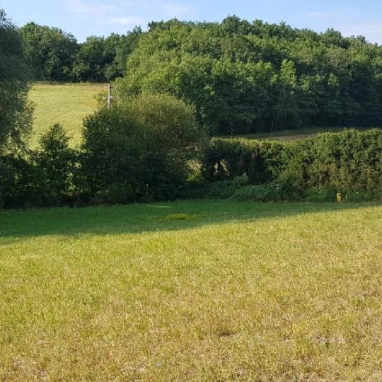  IMMOBILIER AREA : Terrain | PESSAN (32550) | 2 393 m2 | 43 000 € 