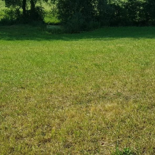 IMMOBILIER AREA : Terrain | PESSAN (32550) | 2 393 m2 | 43 000 € 