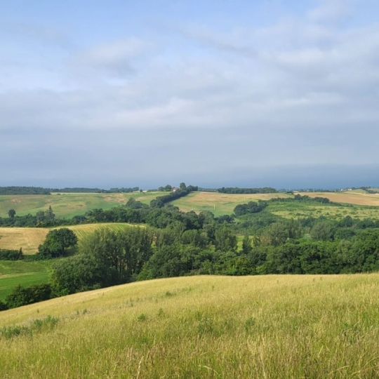  IMMOBILIER AREA : Terrain | SAMATAN (32130) | 70 293 m2 | 77 400 € 