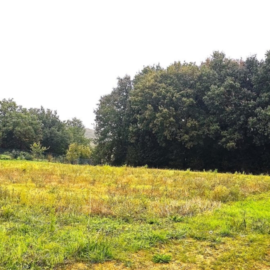 IMMOBILIER AREA : Terrain | HAULIES (32550) | 0 m2 | 48 000 € 