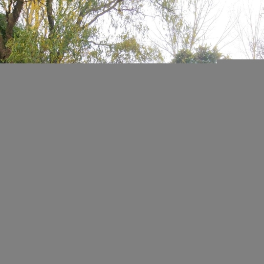  IMMOBILIER AREA : Maison / Villa | ANAN (31230) | 388 m2 | 235 000 € 
