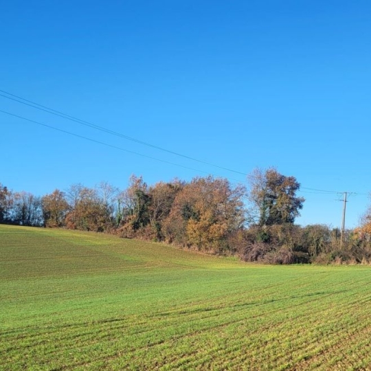 IMMOBILIER AREA : Terrain | SAINT-SAUVY (32270) | 0 m2 | 61 400 € 