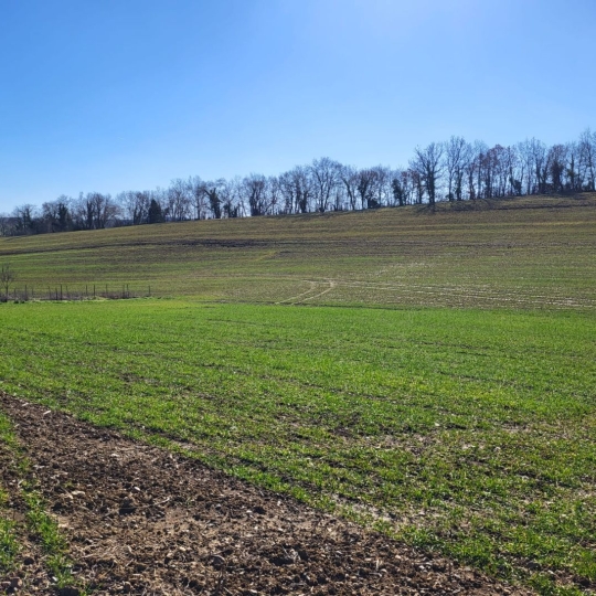  IMMOBILIER AREA : Terrain | SAINT-SAUVY (32270) | 0 m2 | 33 000 € 