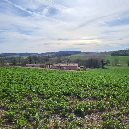  IMMOBILIER AREA : Terrain | PUYCASQUIER (32120) | 0 m2 | 30 000 € 