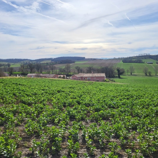  IMMOBILIER AREA : Terrain | PUYCASQUIER (32120) | 0 m2 | 30 000 € 