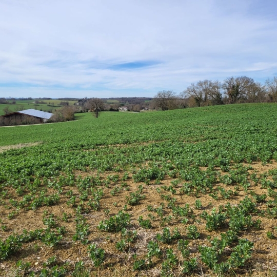  IMMOBILIER AREA : Terrain | PUYCASQUIER (32120) | 0 m2 | 30 000 € 