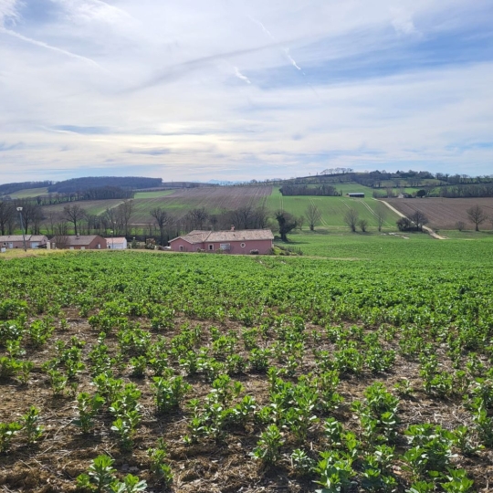  IMMOBILIER AREA : Ground | PUYCASQUIER (32120) | 0 m2 | 30 000 € 