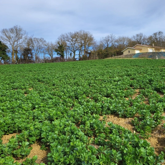  IMMOBILIER AREA : Ground | PUYCASQUIER (32120) | 0 m2 | 30 000 € 