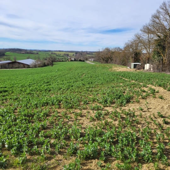  IMMOBILIER AREA : Ground | PUYCASQUIER (32120) | 0 m2 | 30 000 € 