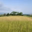  IMMOBILIER AREA : Terrain | SAMATAN (32130) | 3 000 m2 | 82 400 € 