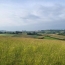  IMMOBILIER AREA : Terrain | SAMATAN (32130) | 3 000 m2 | 82 400 € 