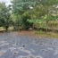  IMMOBILIER AREA : House | AUCH (32000) | 101 m2 | 113 000 € 
