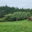  IMMOBILIER AREA : Terrain | AUCH (32000) | 650 m2 | 71 000 € 
