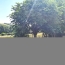  IMMOBILIER AREA : Maison / Villa | GIMONT (32200) | 60 m2 | 150 000 € 