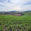 IMMOBILIER AREA : Terrain | PUYCASQUIER (32120) | 0 m2 | 30 000 € 