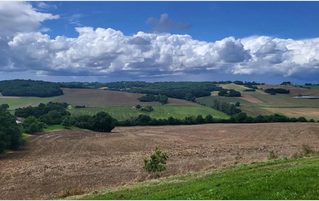 IMMOBILIER AREA : Terrain | BEAUMONT-DE-LOMAGNE (82500) | 220 000 m2 | 192 600 € 