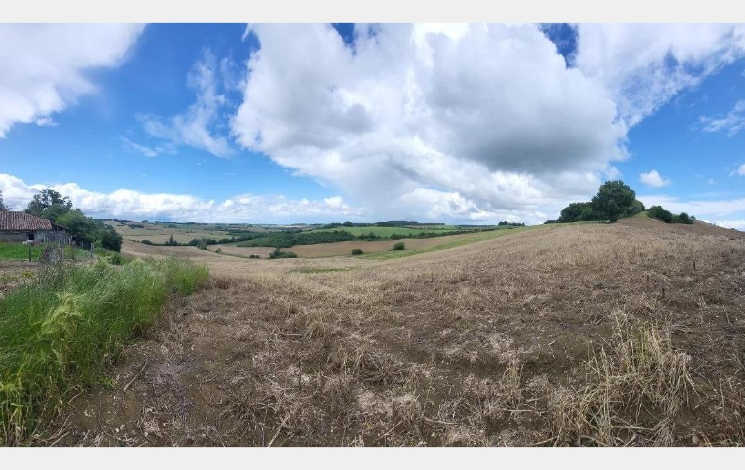 IMMOBILIER AREA : Terrain | BEAUMONT-DE-LOMAGNE (82500) | 220 000 m2 | 192 600 € 