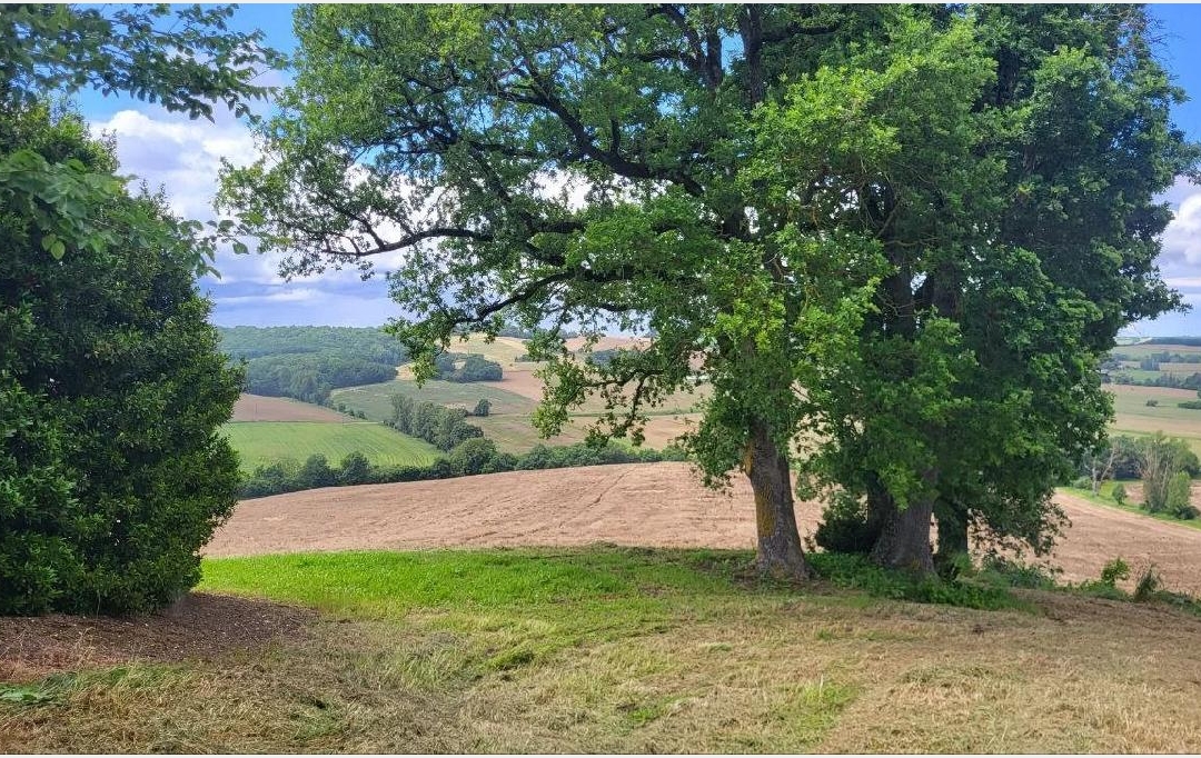 IMMOBILIER AREA : Terrain | BEAUMONT-DE-LOMAGNE (82500) | 220 000 m2 | 192 600 € 