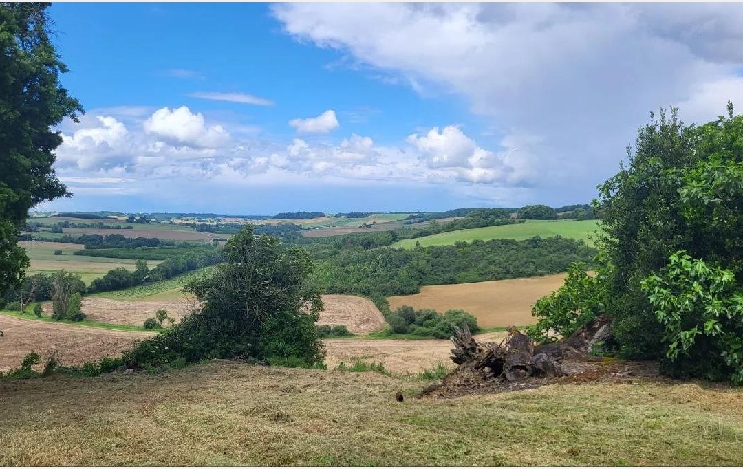 IMMOBILIER AREA : Terrain | BEAUMONT-DE-LOMAGNE (82500) | 220 000 m2 | 192 600 € 