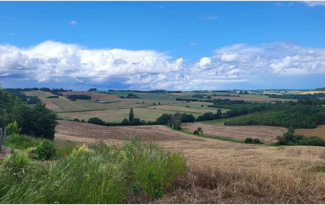IMMOBILIER AREA : Terrain | BEAUMONT-DE-LOMAGNE (82500) | 200 000 m2 | 176 000 € 