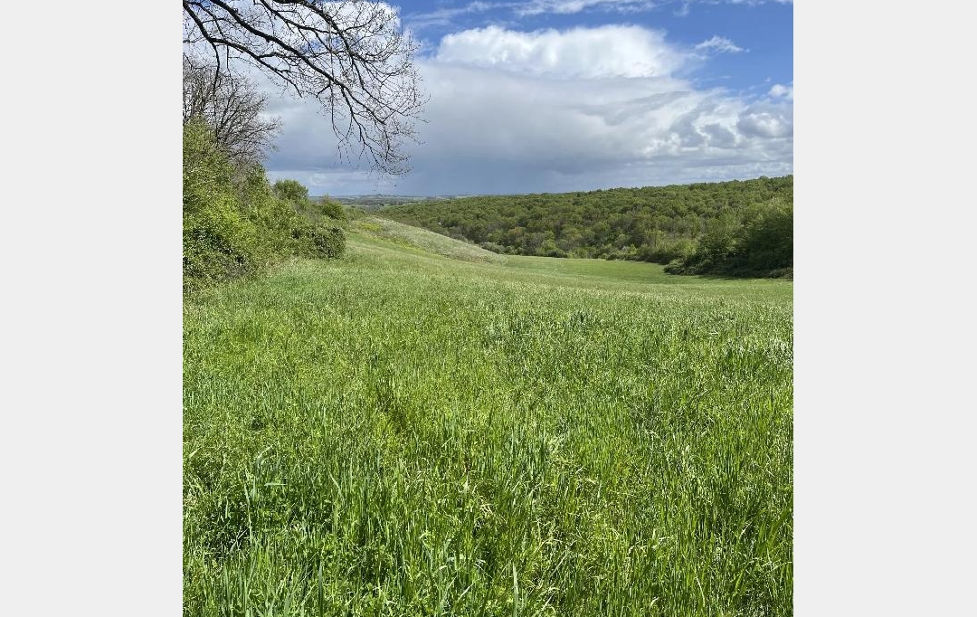 IMMOBILIER AREA : Terrain | SARCOS (32420) | 60 000 m2 | 40 000 € 