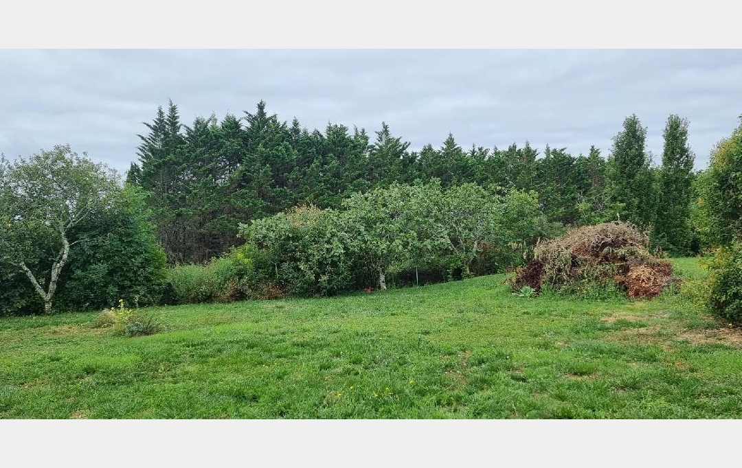 IMMOBILIER AREA : Terrain | AUCH (32000) | 650 m2 | 71 000 € 