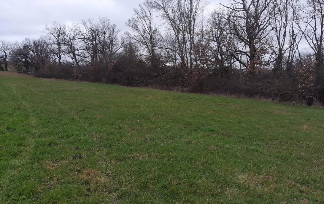IMMOBILIER AREA : Terrain | AUBIET (32270) | 2 485 m2 | 80 000 € 