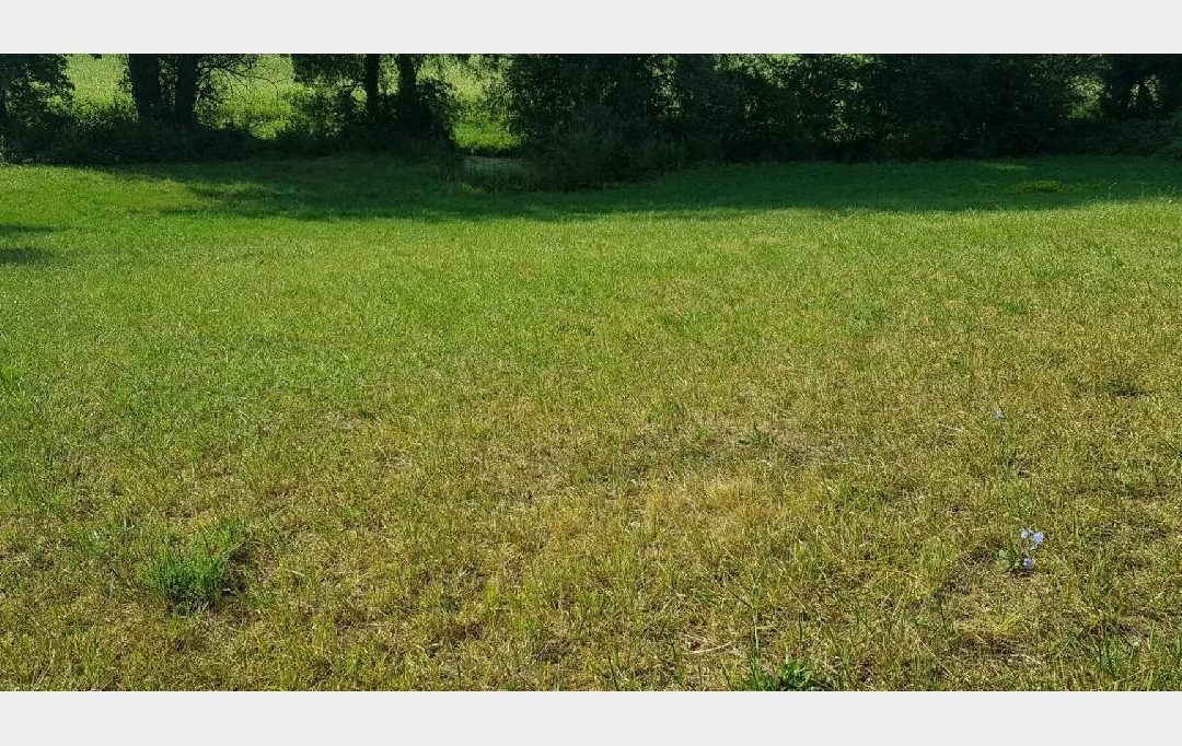 IMMOBILIER AREA : Terrain | PESSAN (32550) | 2 393 m2 | 43 000 € 
