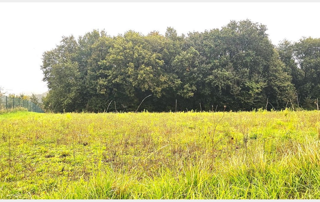 IMMOBILIER AREA : Terrain | HAULIES (32550) | 0 m2 | 48 000 € 