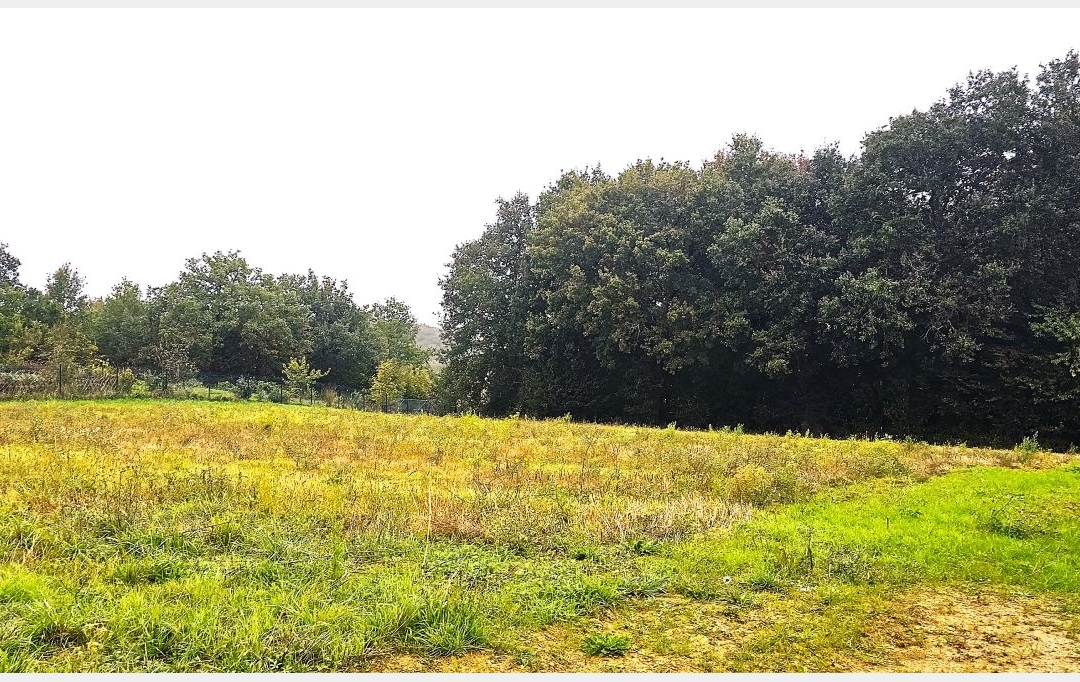 IMMOBILIER AREA : Terrain | HAULIES (32550) | 0 m2 | 48 000 € 