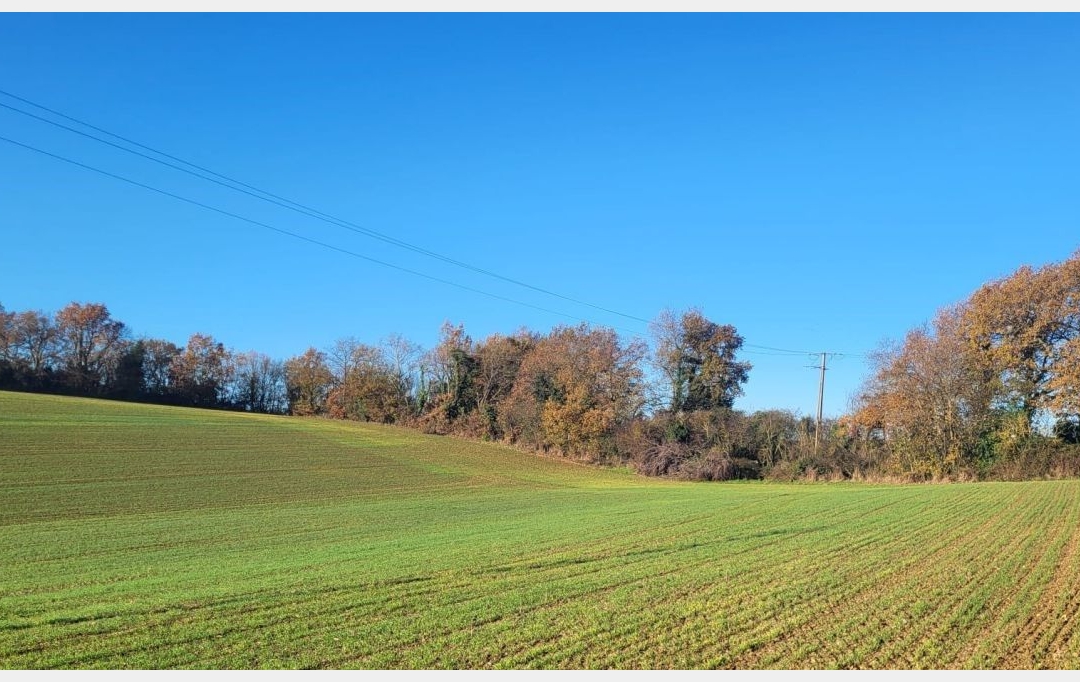 IMMOBILIER AREA : Terrain | SAINT-SAUVY (32270) | 0 m2 | 61 400 € 