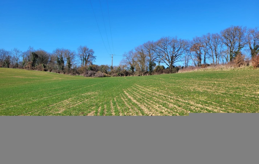 IMMOBILIER AREA : Terrain | SAINT-SAUVY (32270) | 0 m2 | 33 000 € 