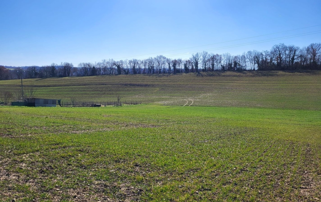 IMMOBILIER AREA : Terrain | SAINT-SAUVY (32270) | 0 m2 | 33 000 € 