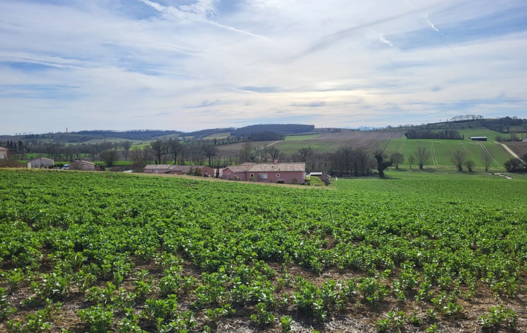 IMMOBILIER AREA : Terrain | PUYCASQUIER (32120) | 0 m2 | 30 000 € 