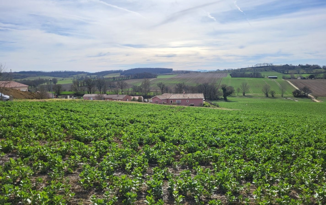 IMMOBILIER AREA : Terrain | PUYCASQUIER (32120) | 0 m2 | 30 000 € 