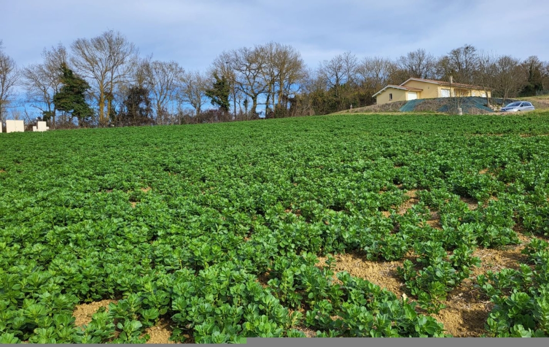 IMMOBILIER AREA : Ground | PUYCASQUIER (32120) | 0 m2 | 30 000 € 
