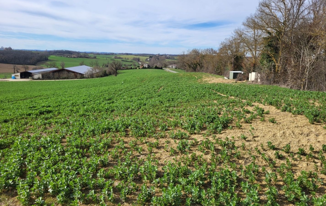 IMMOBILIER AREA : Ground | PUYCASQUIER (32120) | 0 m2 | 30 000 € 