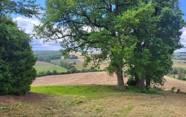  IMMOBILIER AREA Terrain | BEAUMONT-DE-LOMAGNE (82500) | 220 000 m2 | 192 600 € 