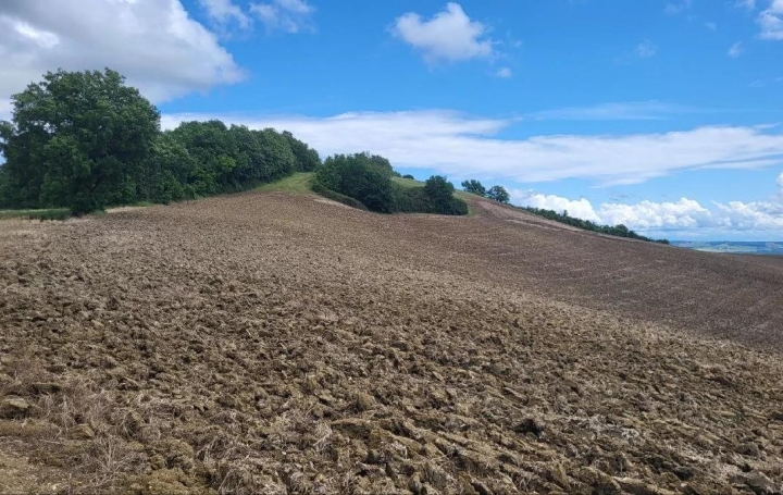  IMMOBILIER AREA Terrain | BEAUMONT-DE-LOMAGNE (82500) | 200 000 m2 | 176 000 € 