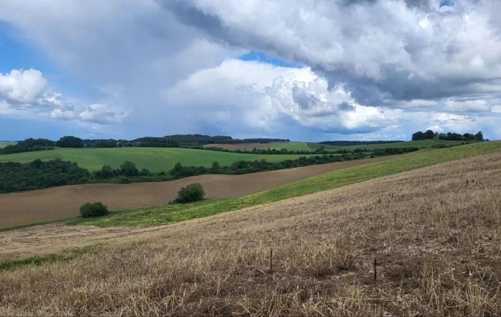  IMMOBILIER AREA Ground | BEAUMONT-DE-LOMAGNE (82500) | 200 000 m2 | 176 000 € 